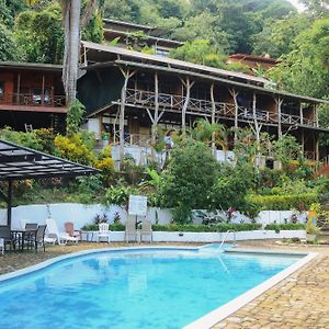 Hostel Plinio